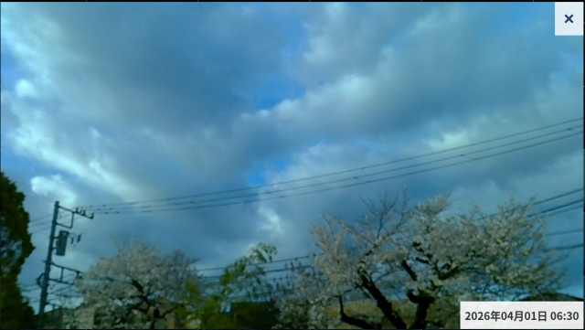 お天気カメラ4月1日午前6時30分