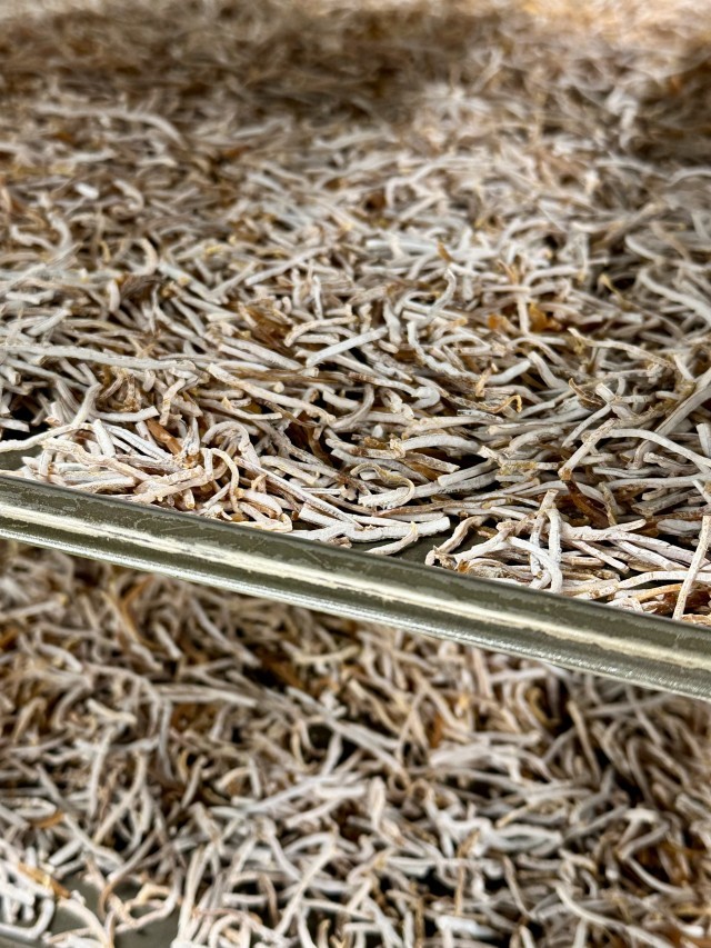 かみかみ和えのするめ（いか）