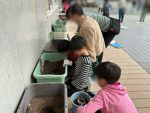 プランターににジャガイモを植える児童たち