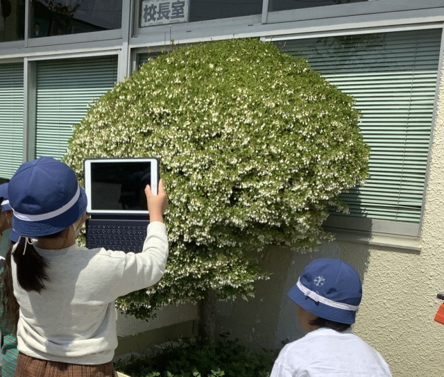 綺麗に花が咲いているのを見つけた様子