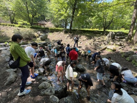 鱒の掴み取りをしている様子