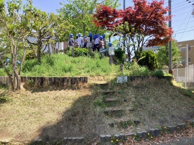 はじめての仙蔵山！