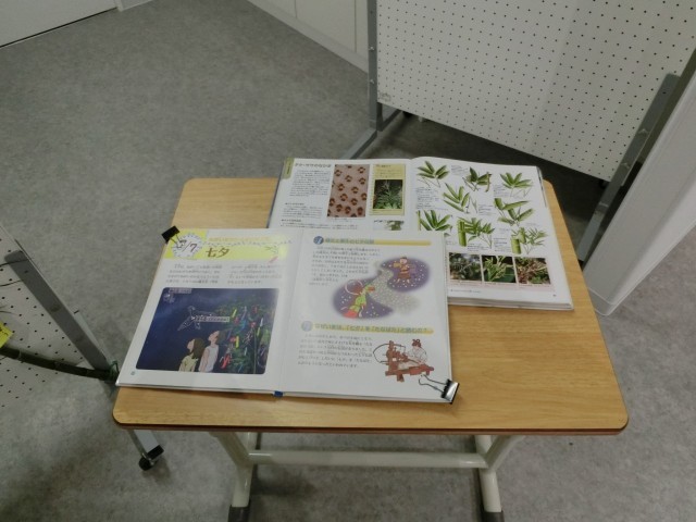 七夕に関する資料