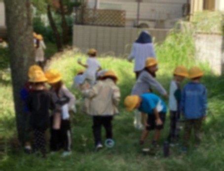 いきものを探して捕まえている様子