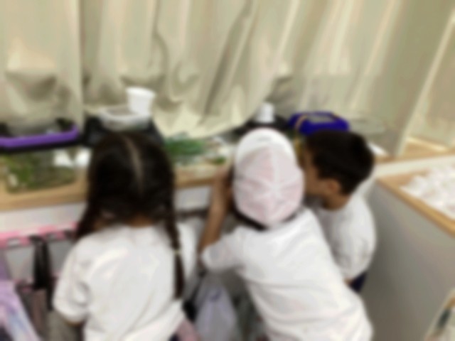 自分の捕まえたバッタを見ている様子