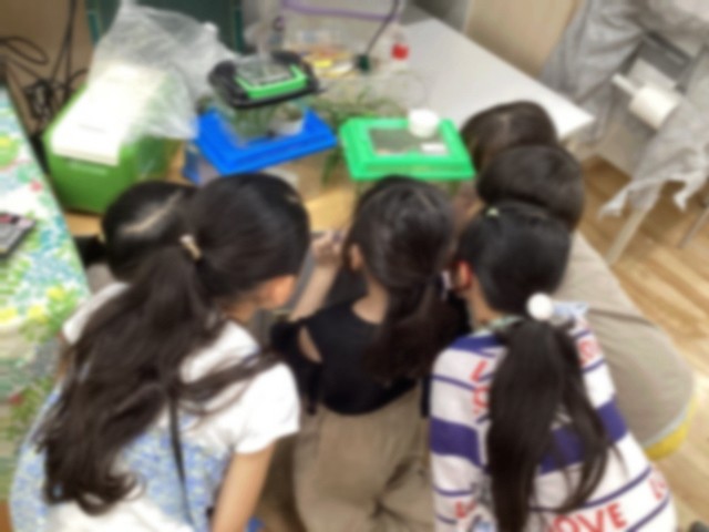 カマキリの捕食を見ている様子