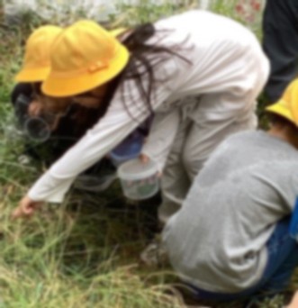 いきものを見つけた様子