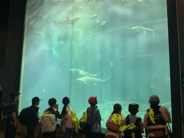 グループで見学