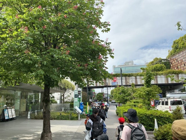 歩道は片側に寄って歩きました