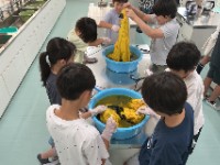 ４年生総合「ハッピ染め」