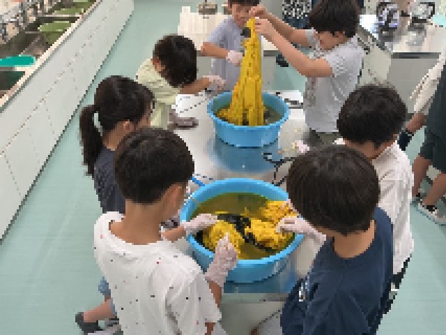 ４年生総合「ハッピ染め」