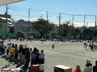 3年生　80m徒競走