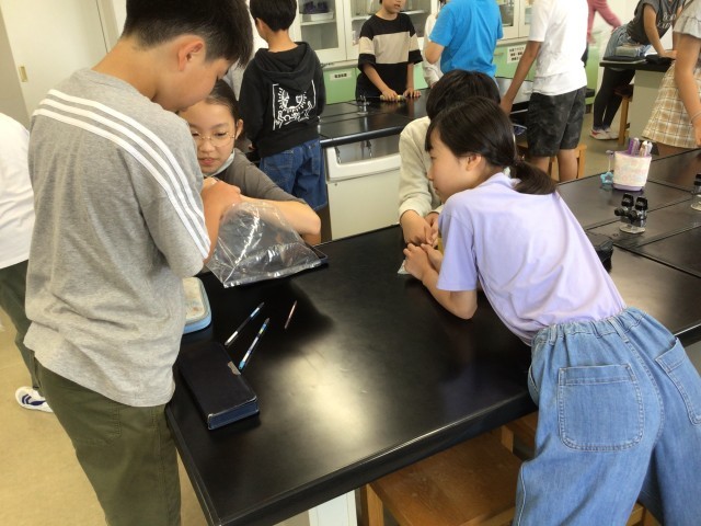 人間の呼吸について学んでいます