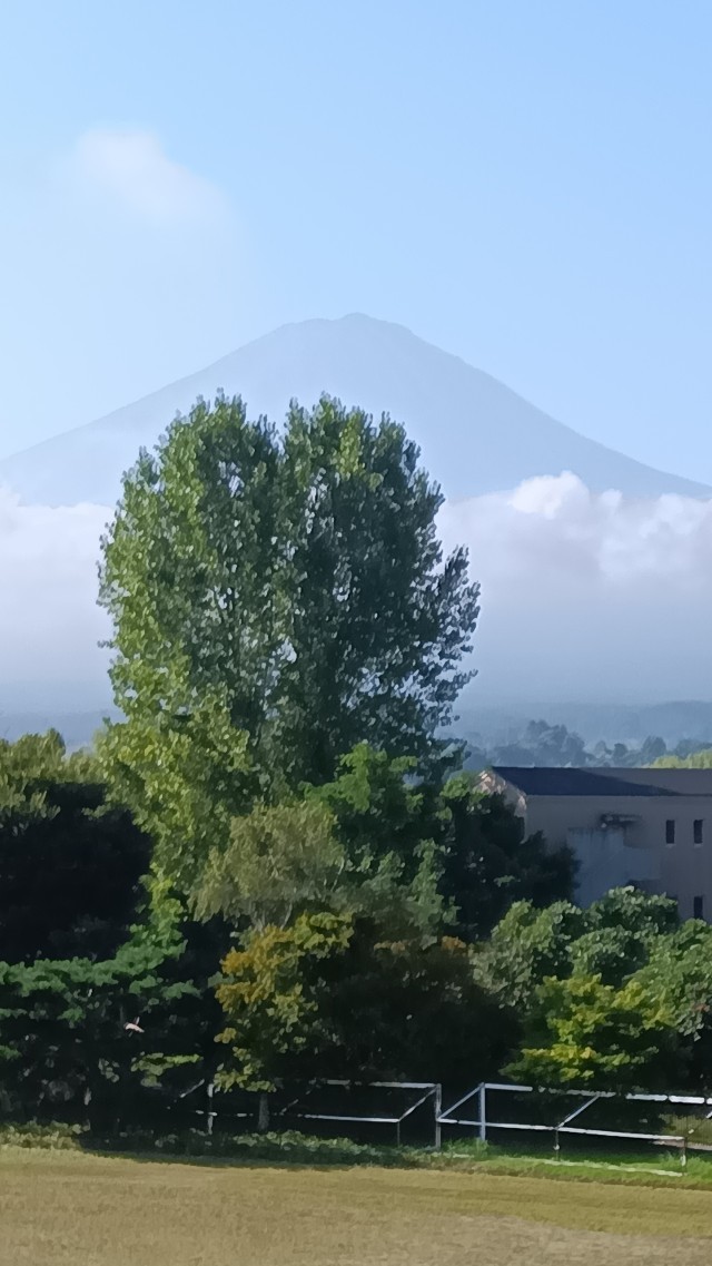 今朝、薄っすらと宿舎から富士山が見えました。