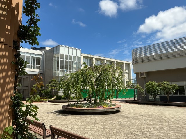 ♪「みどりの風に〜」