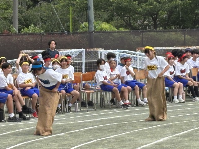 麻袋