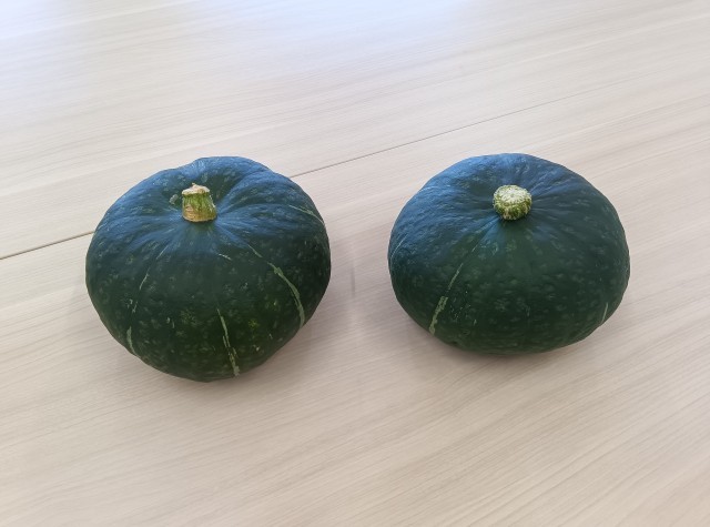 夏の特大かぼちゃが２つ目も収穫でき、ただいま追熟中のため保存しています。
