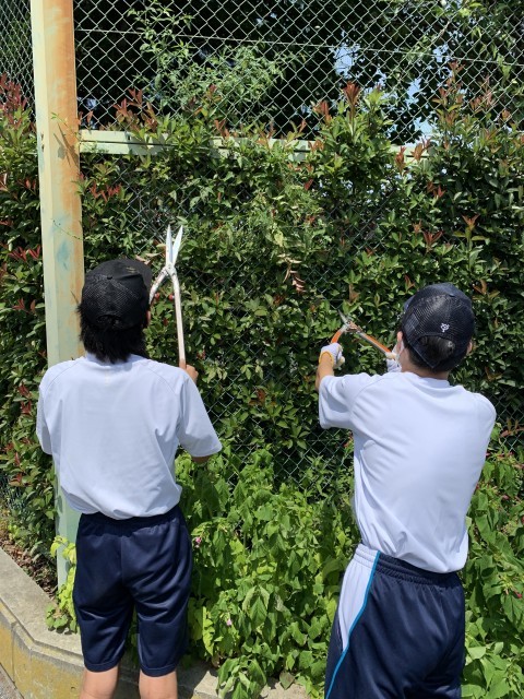 校内事務（体験先：ソシオ株式会社）