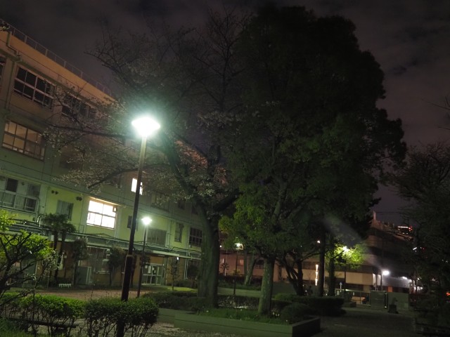 三宿中学校夜間学級校舎夜