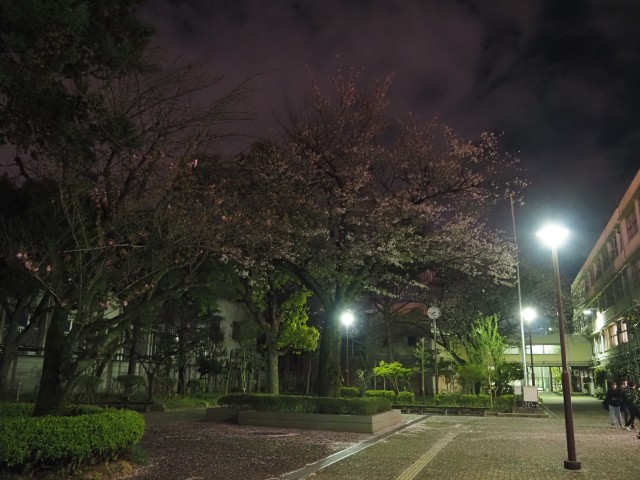 三宿中学校夜庭