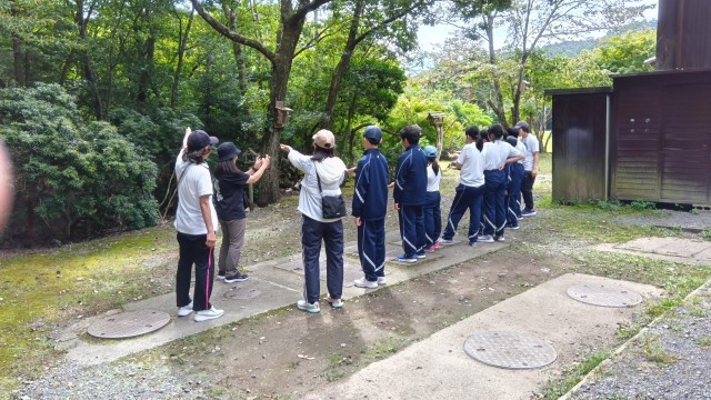 ヤマガラを静かに待つ