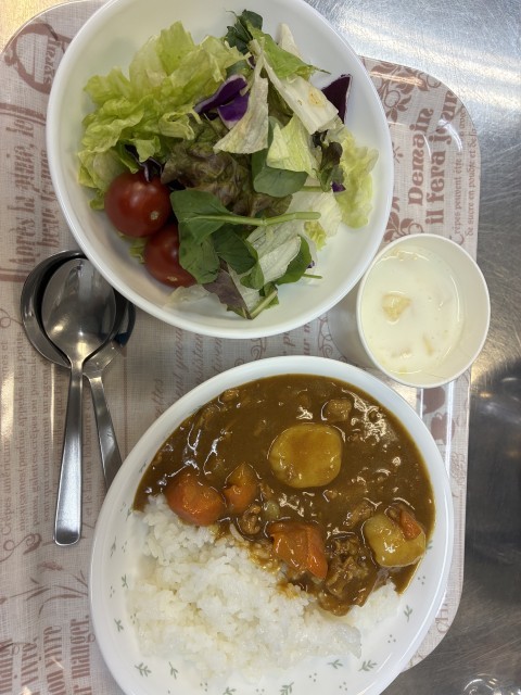 カレーライス、サラダ、デザート
