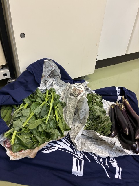 新鮮野菜の数々
