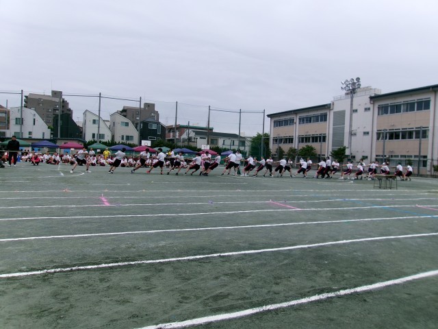 綱引き２