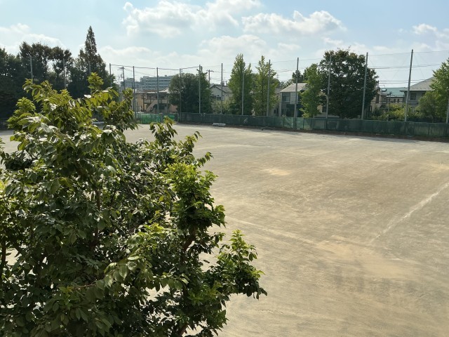 酷暑はまだ続きそうです。